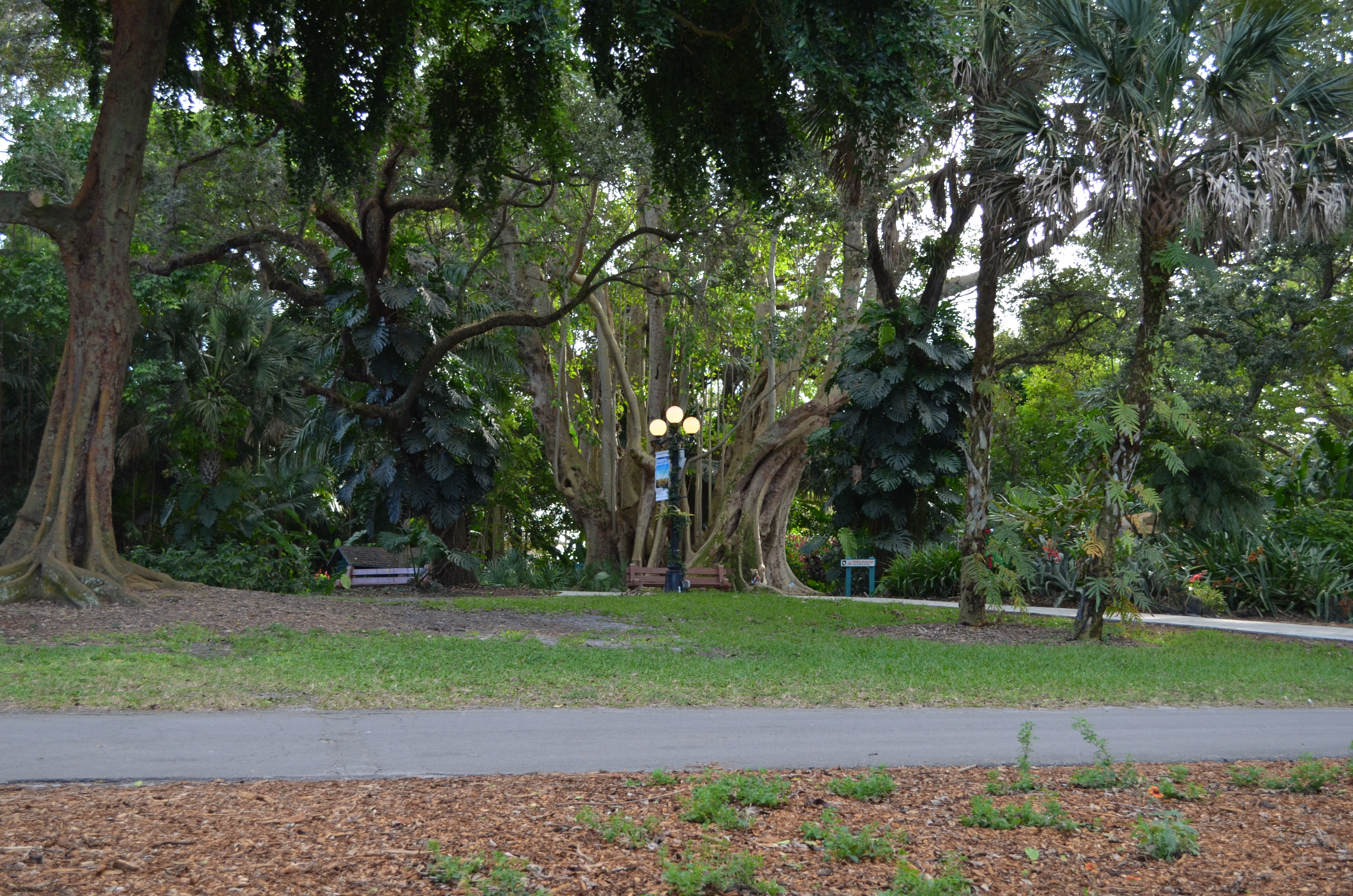 ./2014/Flamingo Gardens/DSC_8052.JPG